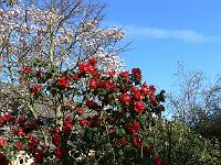 14-04-2007_09-36-51_02