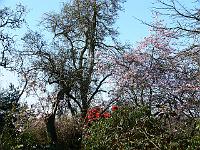 14-04-2007_09-39-04_37