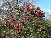 14-04-2007_14-09-08_89