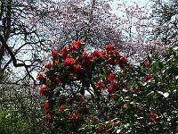 14-04-2007_14-09-48_99