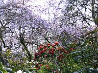 14-04-2007_18-07-44_71