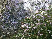 14-04-2007_18-17-43_219