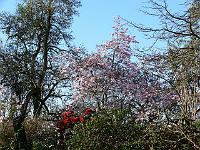 16-04-2007_08-47-14_44