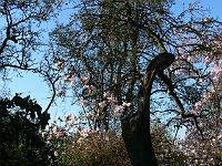 16-04-2007_08-49-04_72