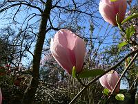 16-04-2007_08-52-32_127