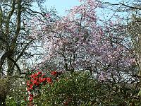 16-04-2007_10-02-11_72