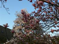 16-04-2007_19-27-16_93