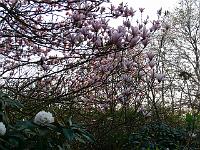 16-04-2007_19-27-57_103