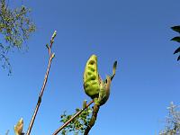 17-04-2007_09-13-46_45