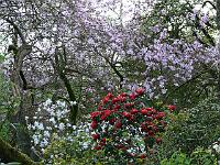 17-04-2007_13-39-56_61