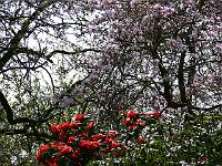 17-04-2007_13-41-53_93