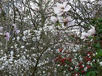 17-04-2007_13-43-43_121