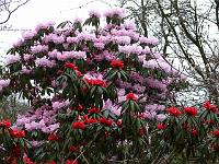 20-04-2006_07-00-04_08