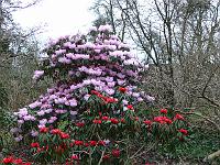 20-04-2006_07-00-22_13