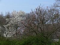 2009-04-16_14-53-27_0121