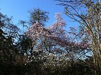 2009-04-19_07-25-27_0041