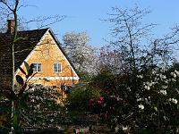 2009-04-21_16-37-46_0005