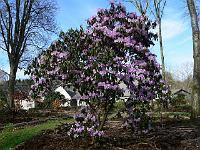 2011-04-17_16-14-08_0013