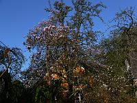 2011-04-18_07-19-23_0020