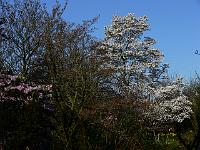 2011-04-18_07-20-46_0028