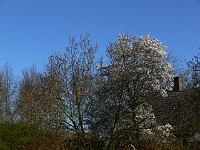 2011-04-18_07-26-12_0037