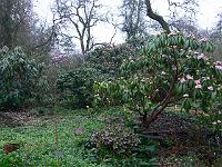 21-04-2006_09-03-25_82