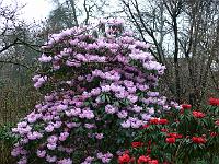 21-04-2006_09-09-11_172