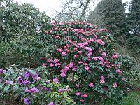 24-04-2006_07-49-36_02