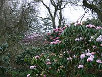 24-04-2006_07-52-44_51