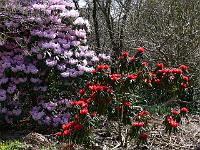 24-04-2006_14-39-17_13