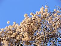 24-04-2006_20-33-24_72