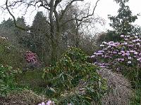 25-04-2006_08-31-07_150