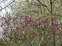 25-04-2007_08-28-18_23