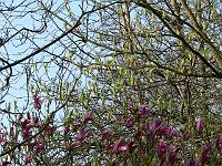 25-04-2007_08-28-44_30