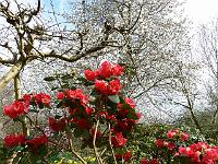 28-04-2006_16-05-43_97