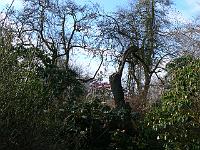 29-04-2006_09-20-31_91