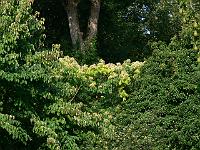 08-08-2007_08-44-08_17