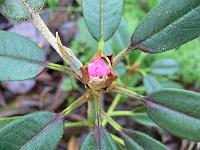 08-12-2006_10-38-26_09