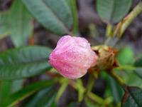 18-12-2006_12-03-34_05