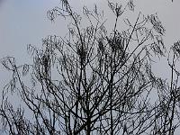 21-12-2006_12-25-59_01