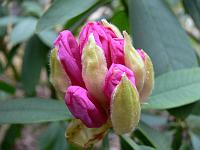 22-02-2008_11-57-03_12