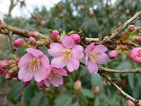 23-02-2008_09-44-26_27