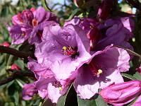 25-02-2008_13-47-27_08