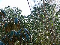 26-02-2006_11-35-07_118