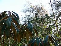 26-02-2006_11-35-26_123