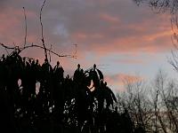 26-02-2006_17-43-23_06