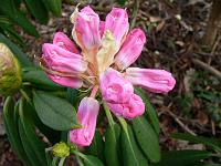 27-02-2008_15-50-59_11