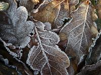 2012-01-25_12-30-15_0001