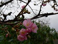 21-01-2007_13-23-21_11