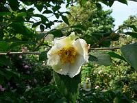 05-07-2006_13-51-51_24